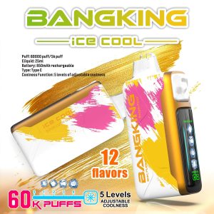 BangKing DSK048 60K Puffs Ice Adjustable Disposable Vape