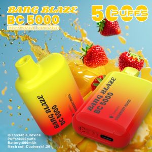 Bang BC 5000 Puffs Disposable Vape Mini Cheap Portable Vape
