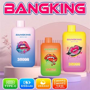 BANG KING SWITCH DUO DSK045 35000 PUFFS Dual Flavor Vape EU Warehouse Stock OEM/ODM