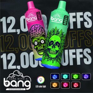 Bang DSK002 12000 Puffs Disposable Vape Pen Style Mesh Coil Rechargeable EU Stock